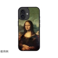 �A�C�L���X�@�V�R�L�P�[�X�@�������@���o��