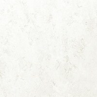 �t�F�C�\�[���v���X�@�e�o�s�Q�O�O�V�@�P�S��