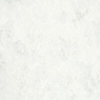 �t�F�C�\�[���v���X�@�e�o�s�Q�O�O�W�@�P�S��