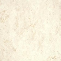 �t�F�C�\�[���v���X�@�e�o�s�Q�O�O�X�@�P�S��