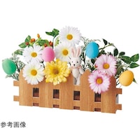 �C�[�X�^�[�������`���R�������ǂ�C�x���g�Z�b�g�@��P�O�O�l�p�@�R�R�|�S�Q�|�P�O�|�P