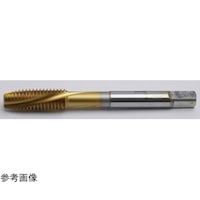�����p�ʂ茊�p�X�p�C�����^�b�v�i�u�e�r�g