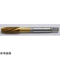 �����p�ʂ茊�p�X�p�C�����^�b�v�i�u�e�r�g