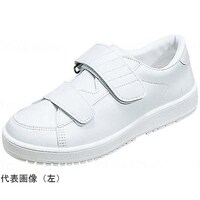 �u�X�e�b�v�O�R�@�z���C�g�`�@�Б��@�E�@�R�O�D�O�����@�O�R�k�^�q