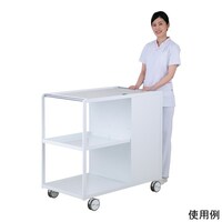 �I���c�����ԁ@�{��