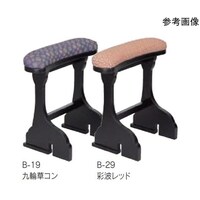 ���y�֎q�p���e�����\�@���@���[�^�C�v�@���U�[�Ԉ߃I�����W�@�P�P�|�U�R�|�Q�j