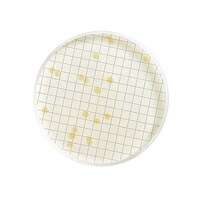 �l�a�O�O�O�O�O�O�s�@�s�f�d�@�a�q�n�s�g�@