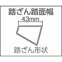 �o���b���@�܂肽���ݎ���Ƒ�e���m���@�c�w�f�^�@��