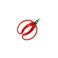 SQO@݂̎@@ܓ