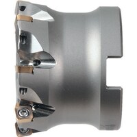 �~�[�����O�G���h�~���@�`�r�q�e�a�R�O�U�R�q�W