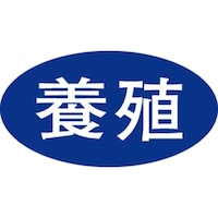 �r�k���x���@�{�B�@�c�P�U�~���R�O�����@�P���i�P�O�O�O���j�@�S�P�|�R�T�R�P�@�o�n�o�J�[�h�i�����j