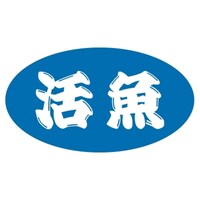 �r�k���x���@�����@�c�Q�O�~���R�U�����@�P���i�T�O�O���j�@�S�P�|�R�T�T�T�@�o�n�o�J�[�h�i�����j