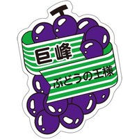 rkx@@cTS~SP@PiTOOj@SP|RUWV@onoJ[hij