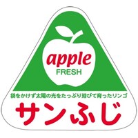 rkx@Tӂ