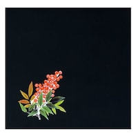 noNAlG@ViQOOj@nr|PW|S