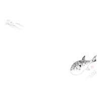 ڂR@e[u}bgiPOOj@ӂ@mPOW