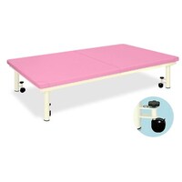 ړpLX^[tvbgz[@PQO~PWO~TO@sN@sa|XST@fÉȖڕʗpi@P@P