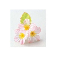 lG̉Ԃ݁@ԁiPOOjiUSQTPj