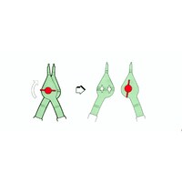 rOvC|STKU|PU^X|PT
