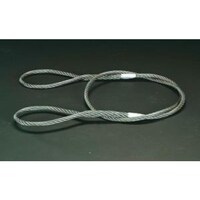 ���C���[�X�����O�Q�Q�����w�R�D�O���@�d�`�X�W�P�v�j�|�W�T�@�c�[�����O�i���̑��j�@�P�{