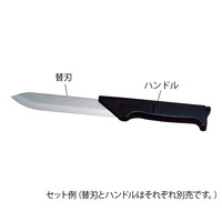 フェザー 替刃剪刀 替刃 片尖（Cタイプ） 1箱（5ペア入