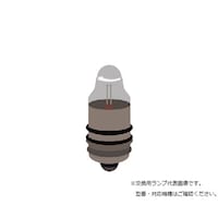 ˌ@pv
