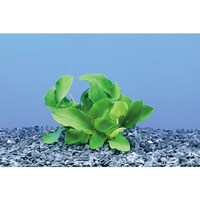 Ep@PiPOj@AkrAXEii@R|TQOW|OR@@PiP~POj