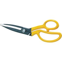 a^