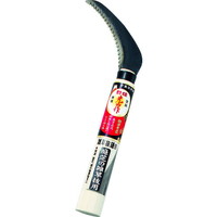 RG
