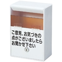 ӌ