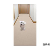 jo|SX@}bg@XO~UOO