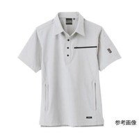 �����V���c�@�V���o�[�O���[