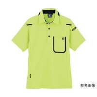 �����|���V���c�@�C�G���[�O���[���@�r�@�U�P�X�O�|�W�S�|�r