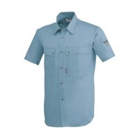 �����V���c�@�u���[�O���[�@�k�@�X�Q�Q�O�|�S�R�|�k