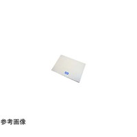 X^[pbNgX@ʎ@`P@USf