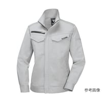 ���f�B�X�����u���]���@�V���o�[�O���[�@�T�C�Y�P�T�@�P�U�X�W�|�Q�Q�|�P�T