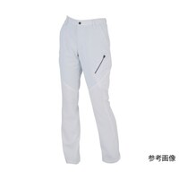 ���f�B�X�p���c�@�V���o�[�O���[