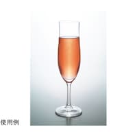 �v�����[�O�@�t���[�g�V�����p���P�U�O�@�P