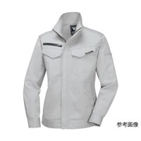 ���f�B�X�����u���]���@�V���o�[�O���[�@�T�C�Y�P�P�@�P�U�X�W�|�Q�Q�|�P�P