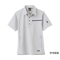 �����V���c�@�V���o�[�O���[�@�T�k�@�Q�Q�Q�Q�|�Q�Q�|�T�k