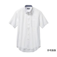 �����{�^���_�E���@�V���@�r�@�P�T�O�U�S�|�R�Q�|�r