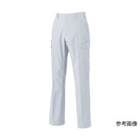 ���b�g�Y�{���@�V���o�[�O���[�@�E�G�X�g�P�Q�O�����@�P�U�X�U�|�Q�Q�|�P�Q�O