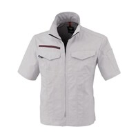 �����u���]���@�V���o�[�O���[�@�r�r�@�P�V�T�P�|�Q�Q�|�r�r