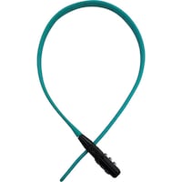 �r�n�k�@�o���h���b�N�@�@�u���[