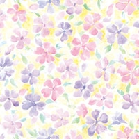 St[JNePOO~T