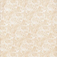 ����@���ˁ@�O���C�X�t���~�P�O�@�O�O�Q�S�O�P�U�S�O�@����i���j�@�P���i�P�O�Z�b�g�j