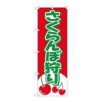 ̂ڂQQROڎ