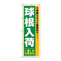 ̂ڂRQTP