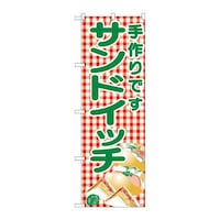 ̂ڂRTPThCb`