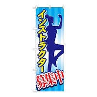 ̂ڂVSVOCXgN^[W